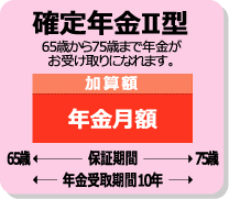 確定年金Ⅱ型