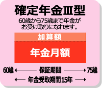 確定年金Ⅲ型