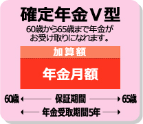 確定年金Ⅴ型